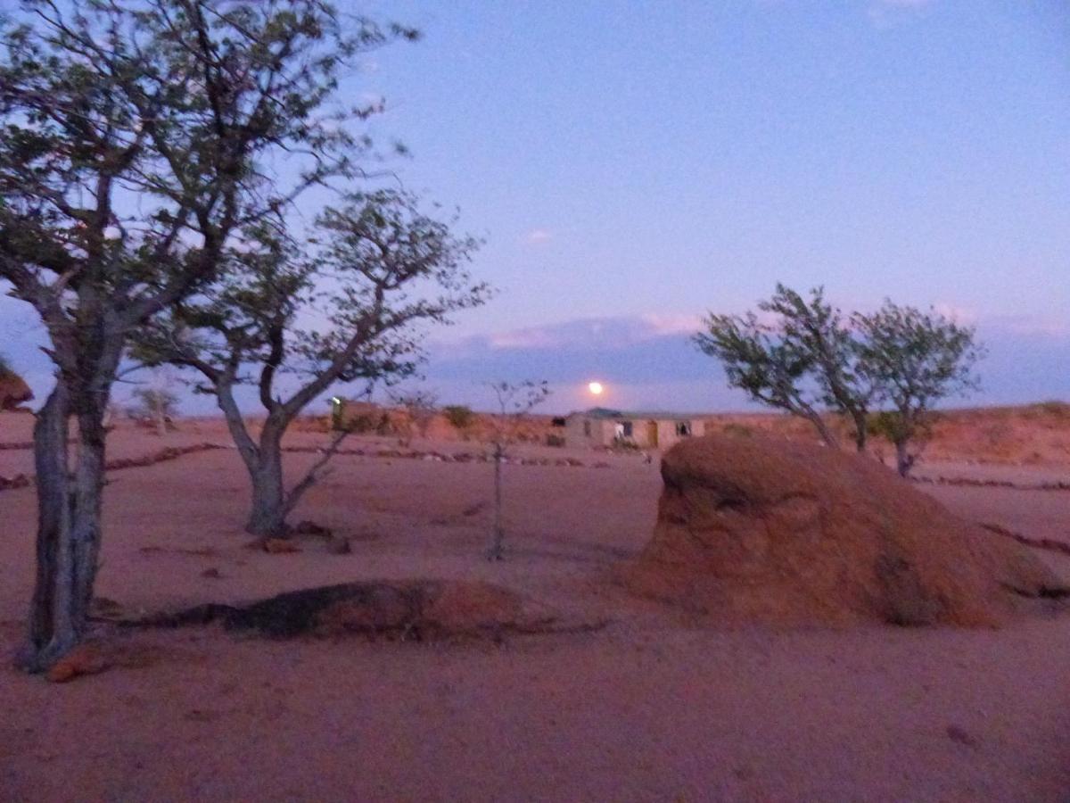 Ozohere Campsite And Himba Village Uis Exteriér fotografie